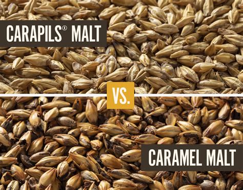 carapils vs dextrin malt.